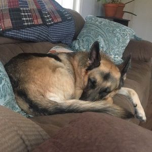 Meet your Posher, Devon